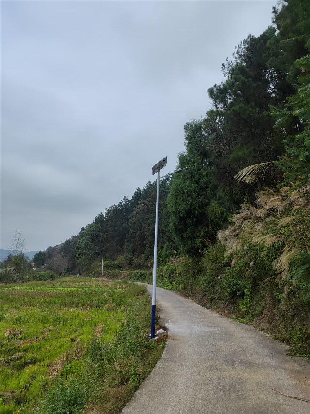 路灯修好了，方便村民出行.jpg