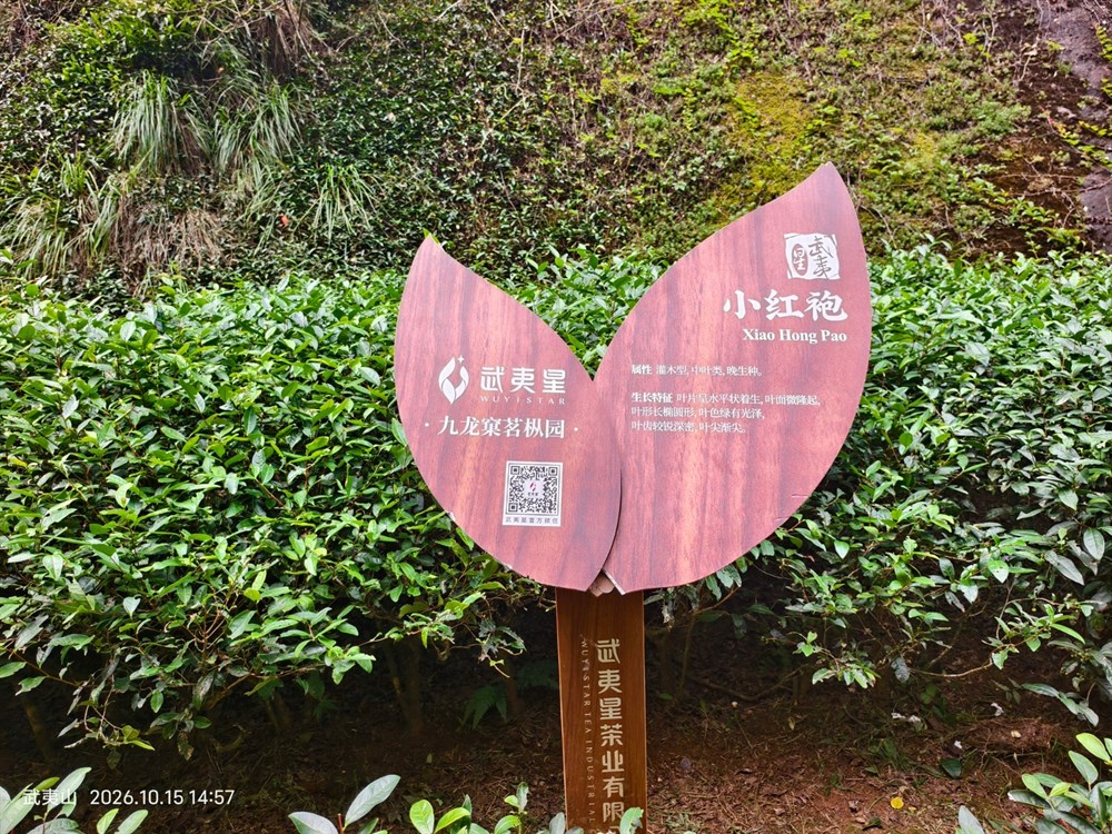 1 小红袍.jpg 1 小红袍.jpg