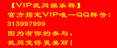 【VIP武冈娱乐群】 官方指定VIP唯一QQ群号： 313997999