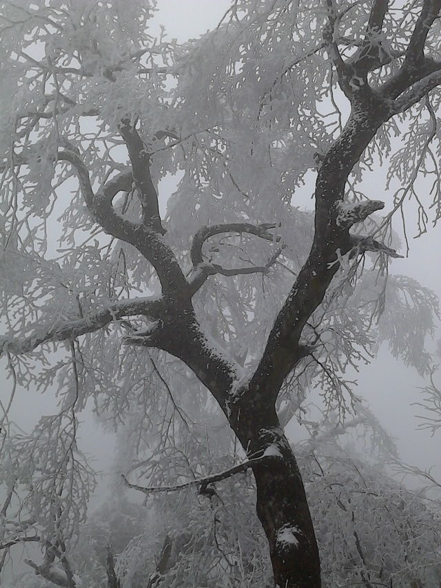 最美莫过云山雪(转二中老师空间)