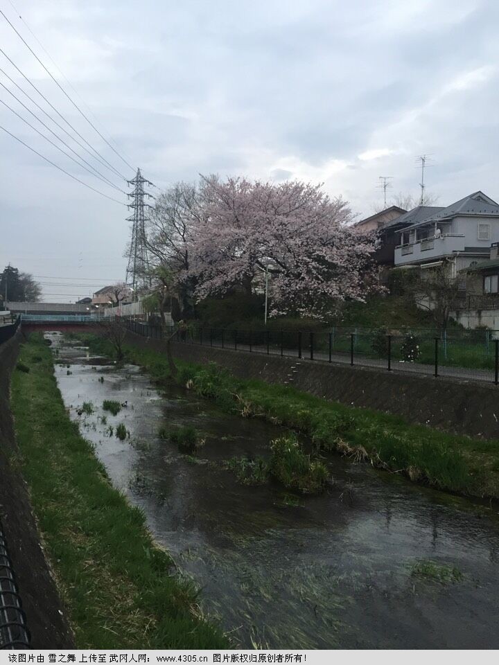 日本东京美丽小村庄一角