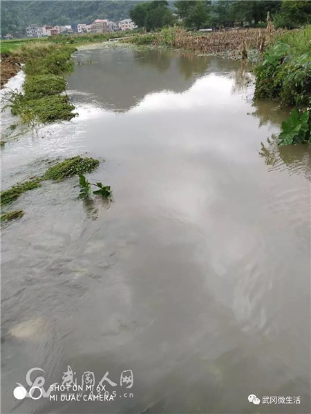 怪卵事！武冈文坪100亩良田大晴天被洪水淹没！