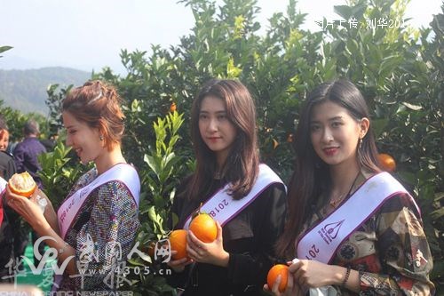 2018中国崀山第四届脐橙文化旅游节开幕