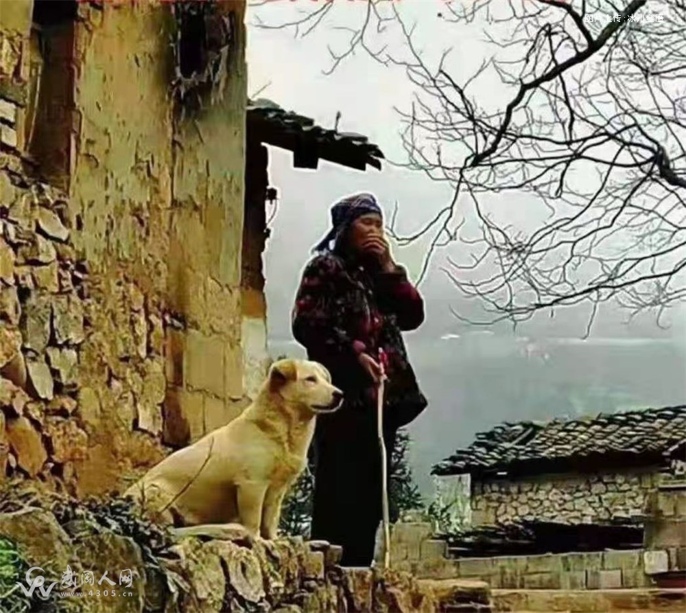 村庄，老人与狗