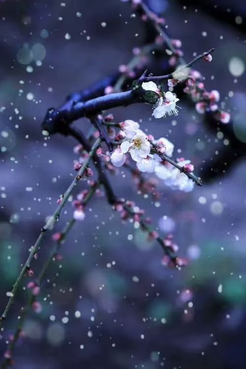 观雨