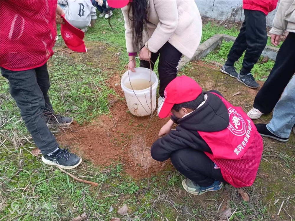 朱溪中学开展植树节活动