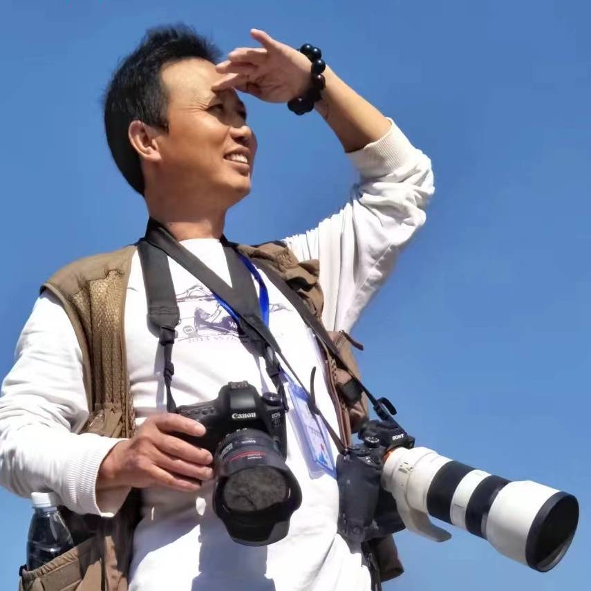 杨春晖