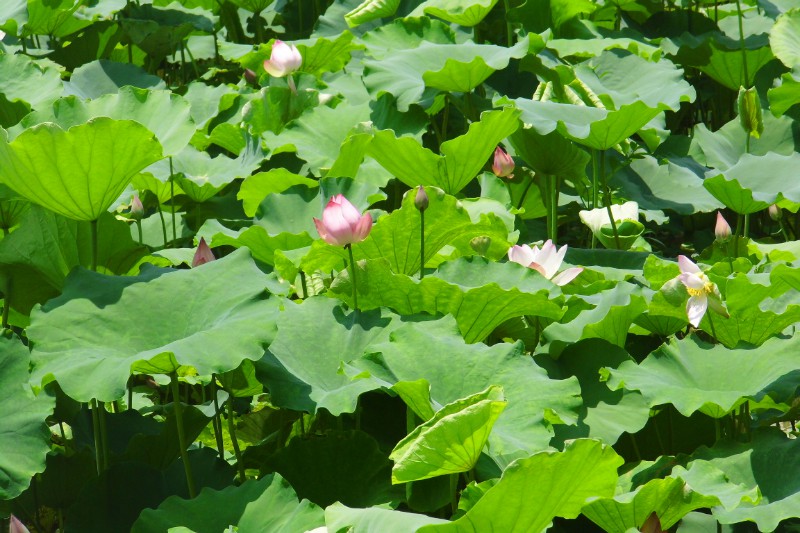 106