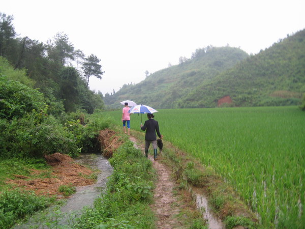 那冲，那山，那溪