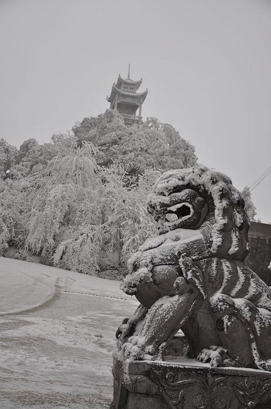 品“武冈云山雪景”有感