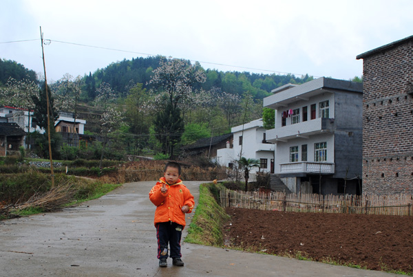 大坝杨梅山有大量闲置的房产和未开发的土地