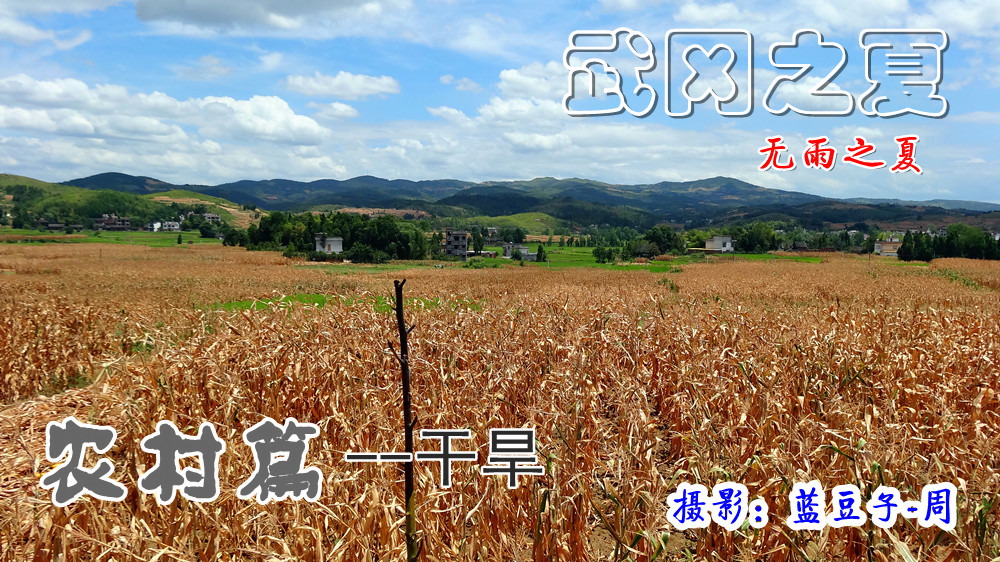 图说武冈干旱--农村灾情实拍(1)