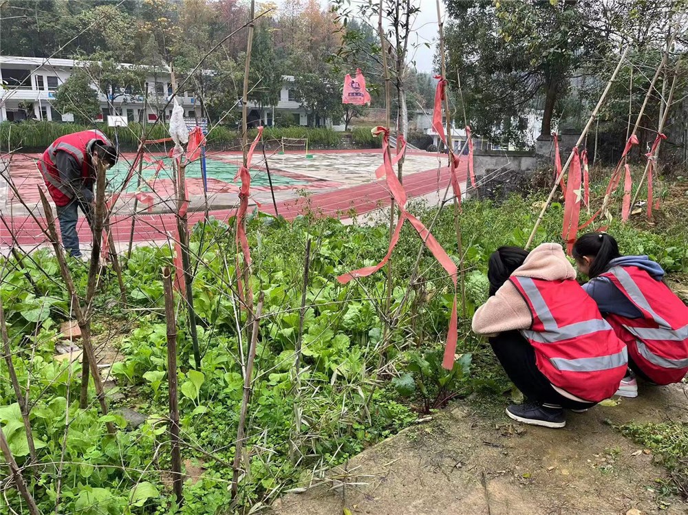 江塘中学开展“劳动促成长”主题实践活动