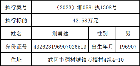 曝光！武冈法院2024年第七期失信被执行人名单出炉！