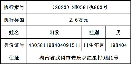 曝光|武冈市人民法院2024年第九期失信被执行人名单出炉！