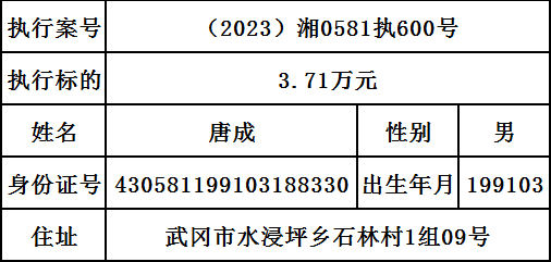 曝光|武冈市人民法院2024年第十期失信被执行人名单出炉！