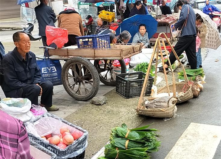 又逢端午  湾头桥镇集市粽叶热销起来