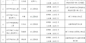 武冈市卫生健康局关于对武冈市乐迪托育中心等14家机构认定为普惠托育机构的公示