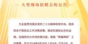 武冈市举行2024年“就”在金秋“职”面未来现场招聘会