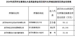 武冈：奖励资金项目公示