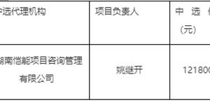 武冈市狮子湖景区配套基础设施建设项目-通景公路(云山北路狮子湖段)工程招标代理机构选取中选结果公告