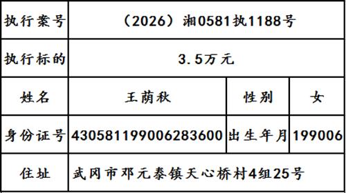 武冈法院发布2026年第十六期失信名单