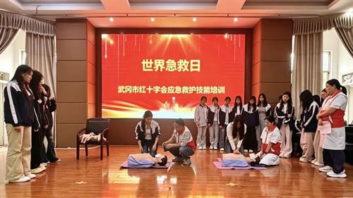 世界急救日 武冈红十字会开展应急救护技能培训