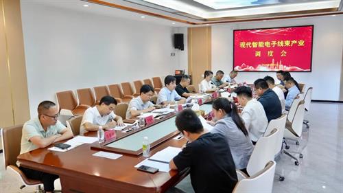 【三个大抓开新局攻坚突围奋力拼】武冈市现代智能电子线束产业调