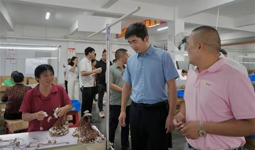 武冈市召开现代智能电子线束产业集群观摩座谈会