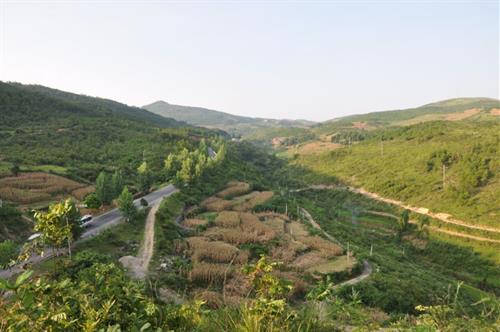 建言｜武冈东北部，期盼一条串联晏田、水浸坪、邓家铺的高速连接线