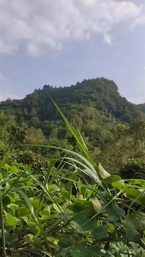 登张家岭抒感