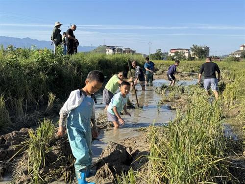 捉鱼品鲜赏茶园武冈乡村游让市民“沉浸式”过国庆