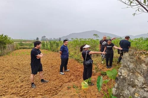 武冈双牌镇：联动调处化积怨土地纠纷就地解