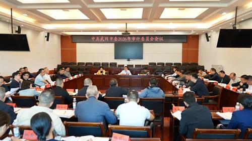 武冈唐伟文主持召开市委审计委员会会议
