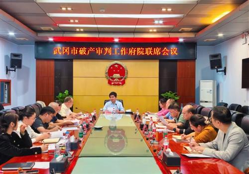 武冈市破产审判工作府院联席会议召开