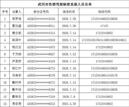 武冈市公安局交通管理大队行政处罚公告