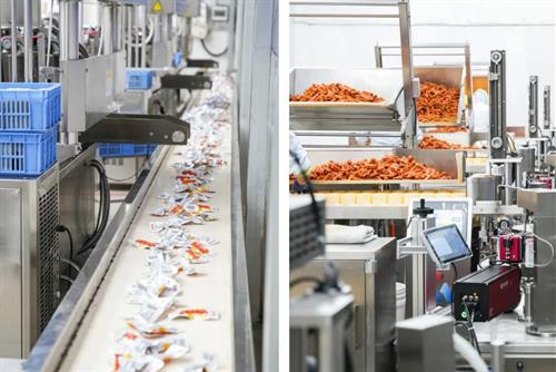 湖南省政协调研组走进武冈乡乡嘴 助力特色食品产业提质升级