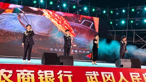 情暖重阳 孝润武冈 2026年敬老爱老文艺演出上演