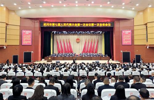 武冈市第七届人民代表大会第一次会议开幕