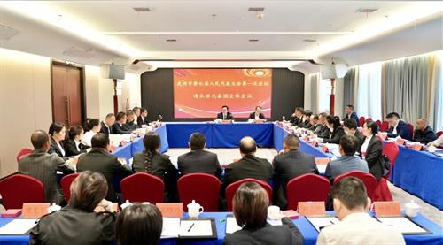 武冈唐伟文、阳敏等市领导参加人大代表团审议