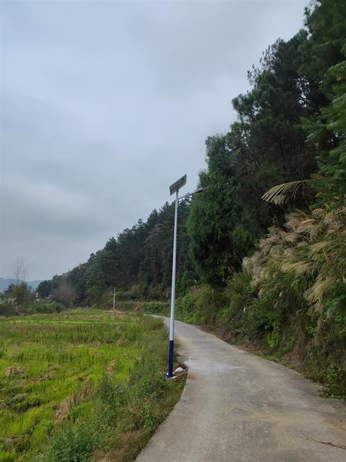 干部解民忧      路灯亮民心