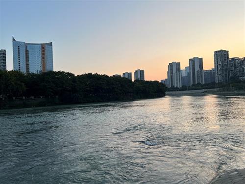 锦江水秀苍鹭欢